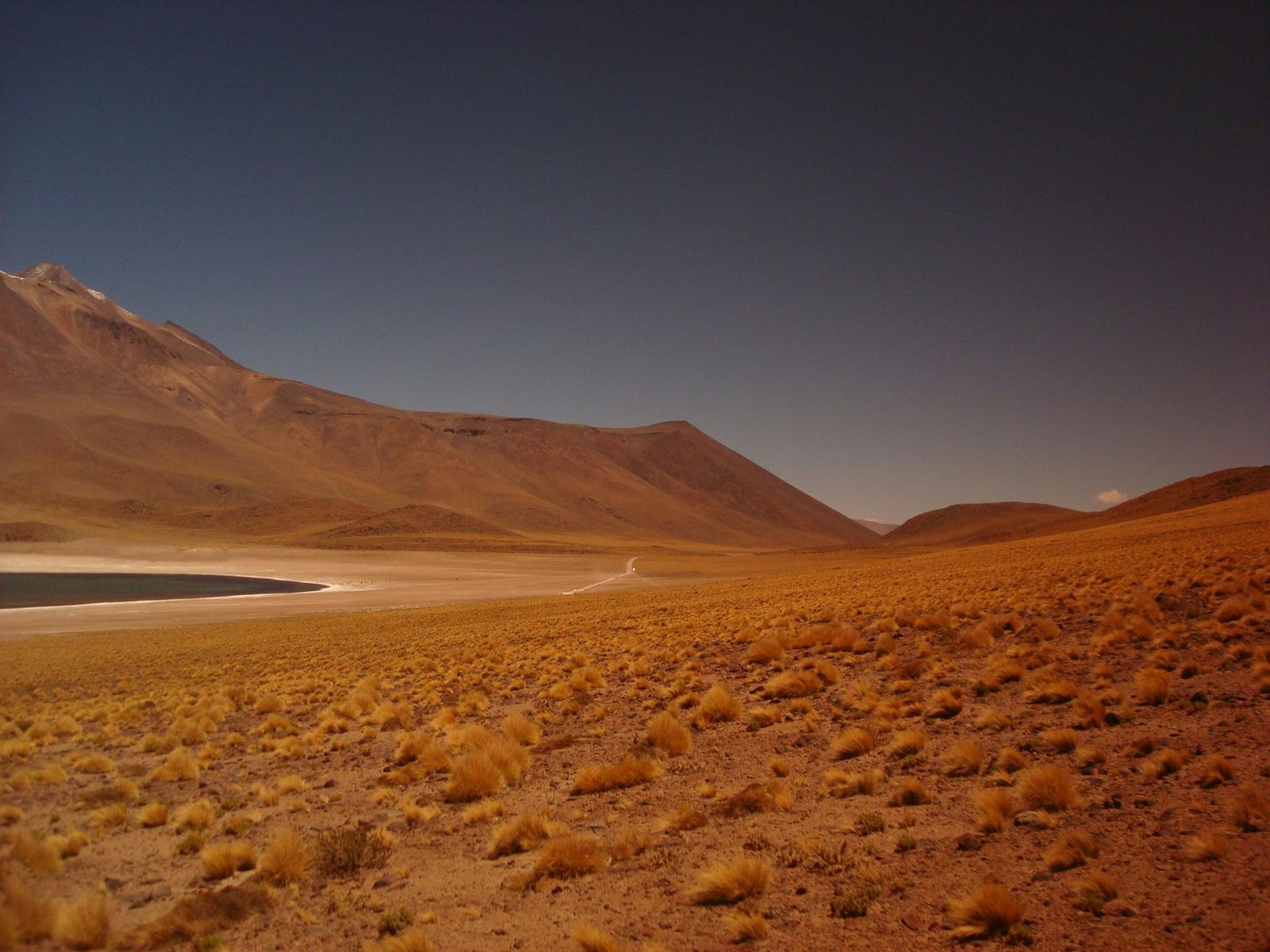 Black Desert